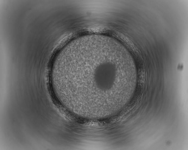 X0000099300738200805231341