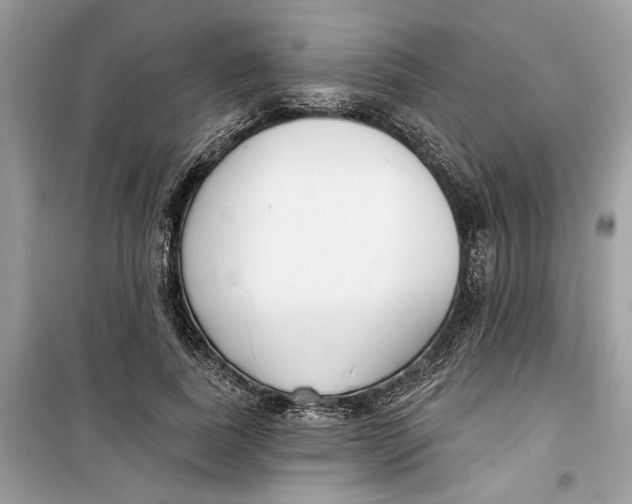 X0000099300739200805231341