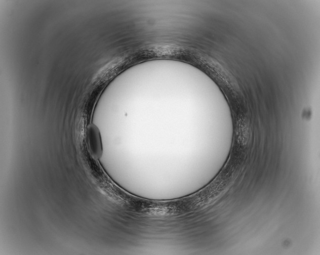 X0000099300740200805231341