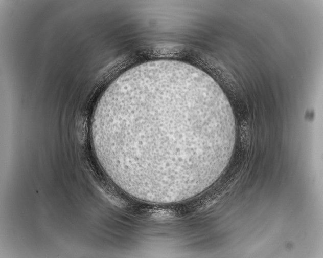 X0000099300741200805231341