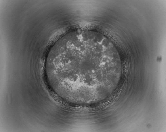 X0000099300742200805231341