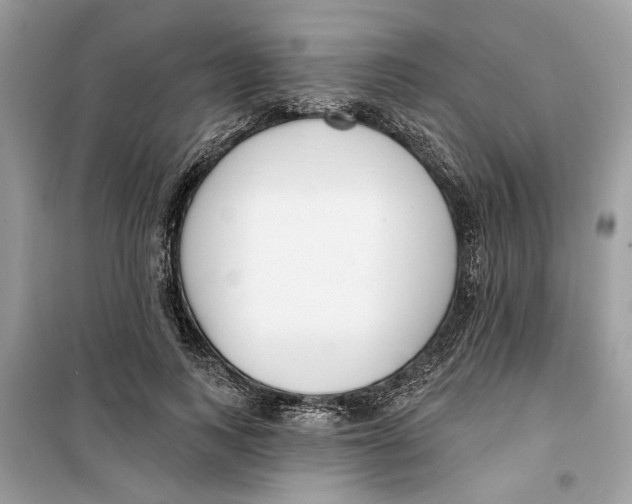 X0000099300743200805231341