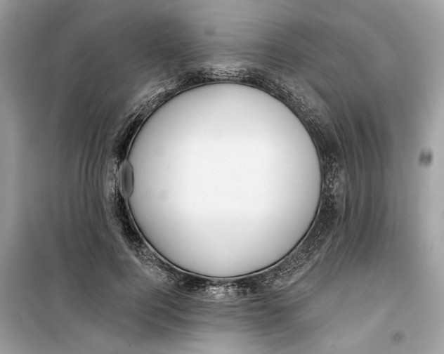 X0000099300744200805231341