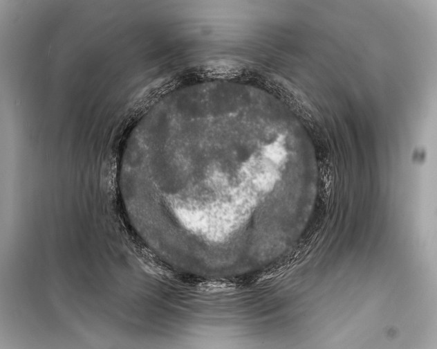 X0000099300745200805231341