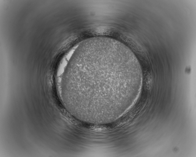 X0000099300746200805231341