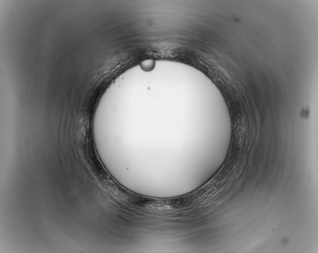 X0000099300747200805231341