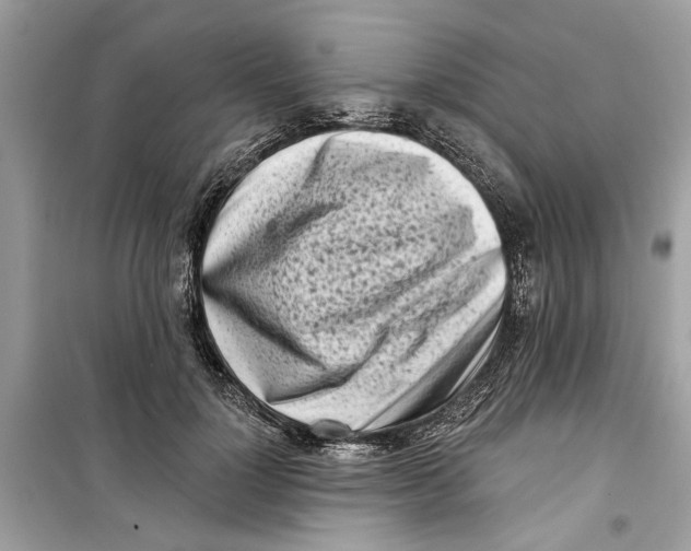 X0000099300748200805231341