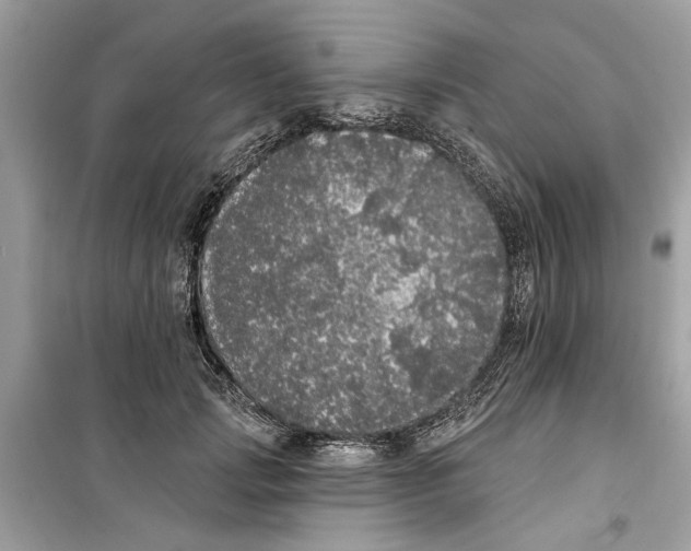 X0000099300749200805231341