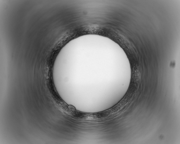 X0000099300750200805231341