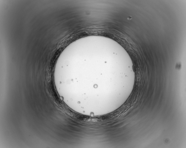 X0000099300751200805231341