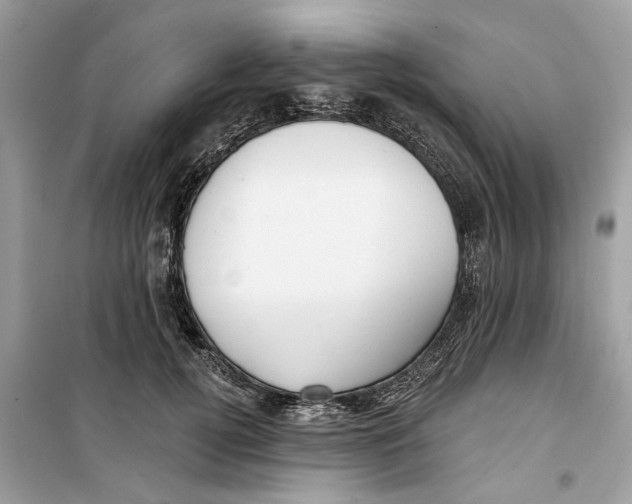 X0000099300752200805231342