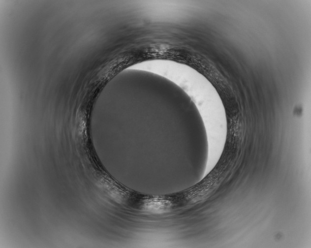 X0000099300754200805231342