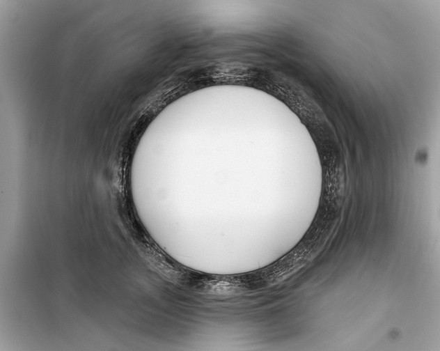 X0000099300755200805231342