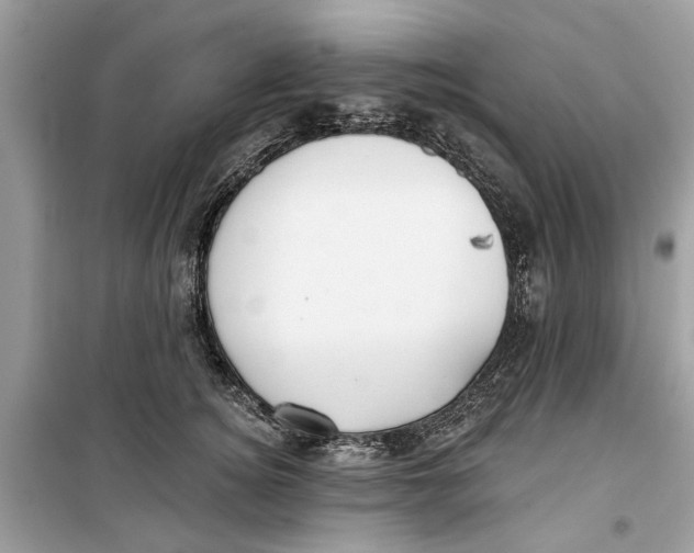 X0000099300756200805231342