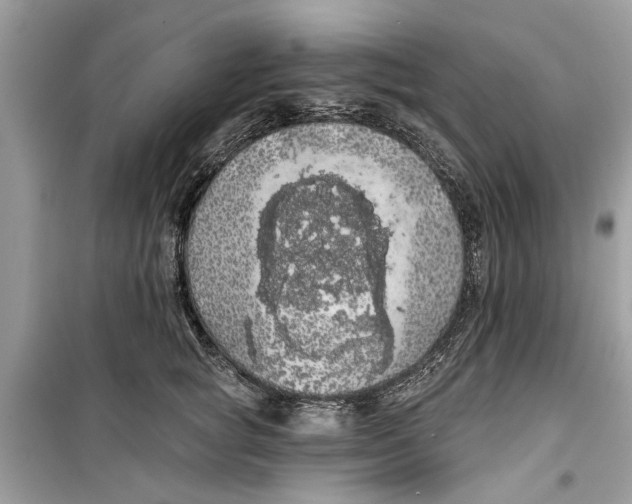 X0000099300757200805231342