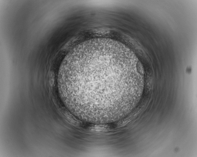 X0000099300758200805231342