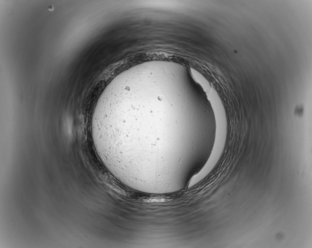 X0000099300759200805231342