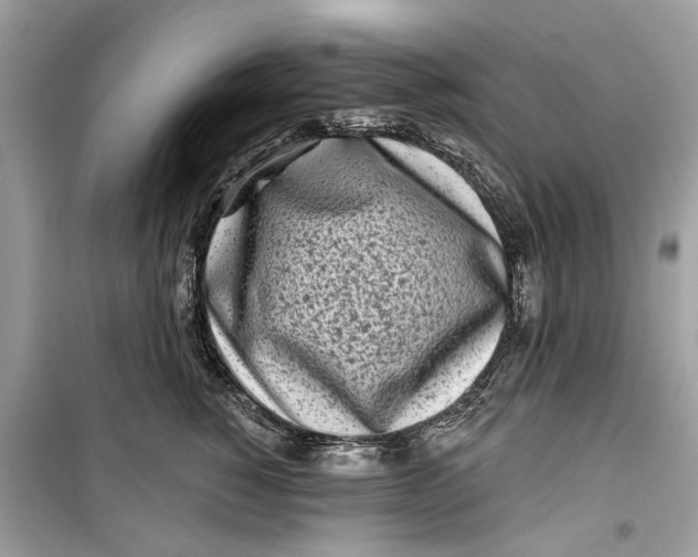 X0000099300760200805231342