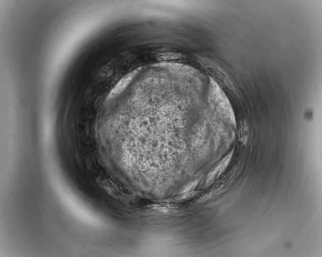 X0000099300763200805231342