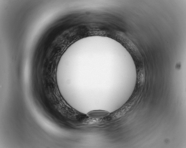 X0000099300764200805231342