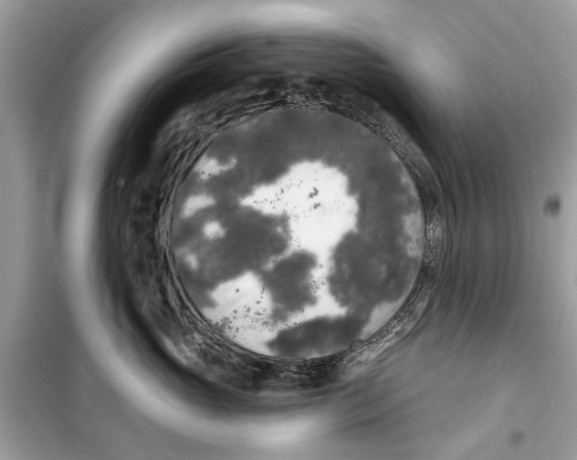 X0000099300765200805231342