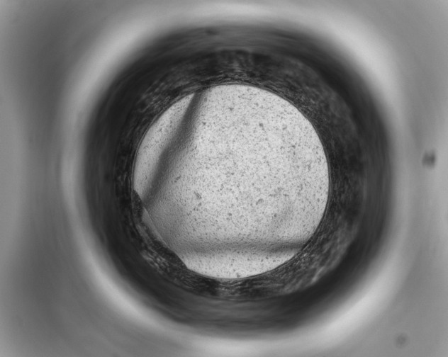 X0000099300766200805231342