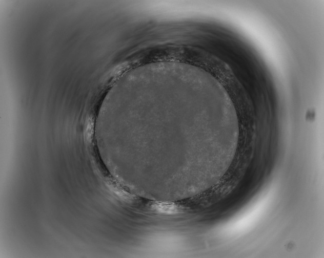 X0000099300767200805231342