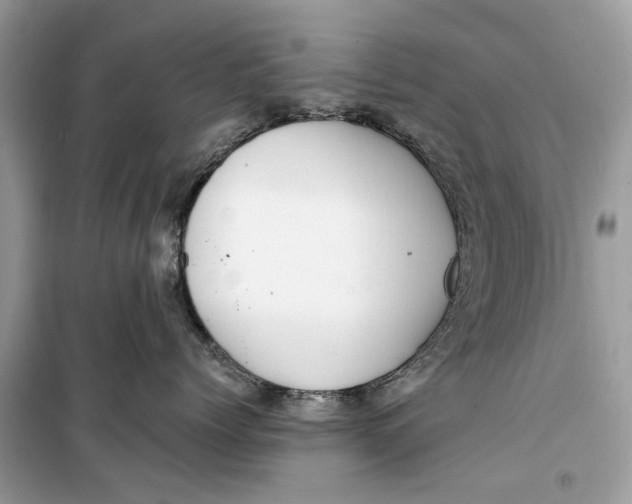 X0000099300768200805231342