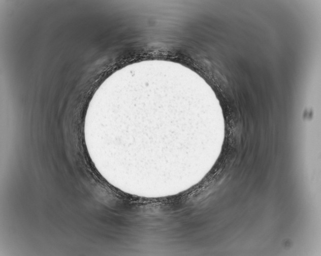 X0000099300769200805231341