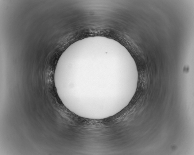 X0000099300770200805231341