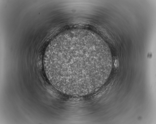 X0000099300771200805231341