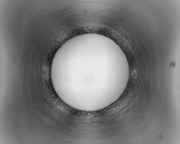 X0000099300772200805231341