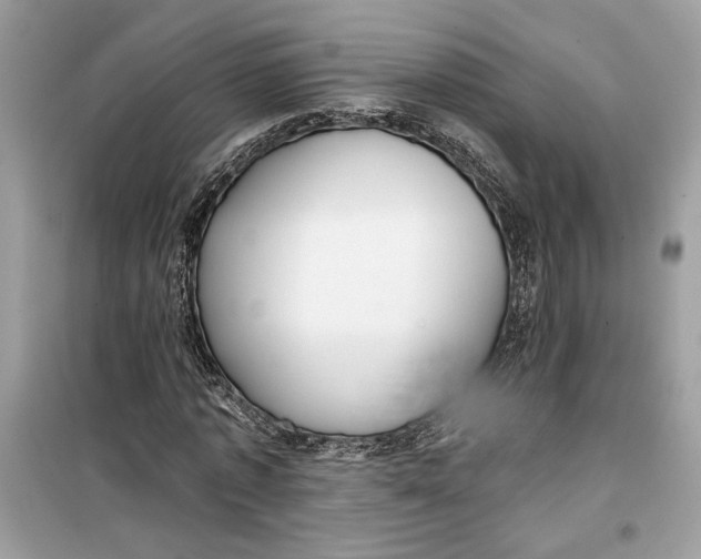 X0000099300773200805231341