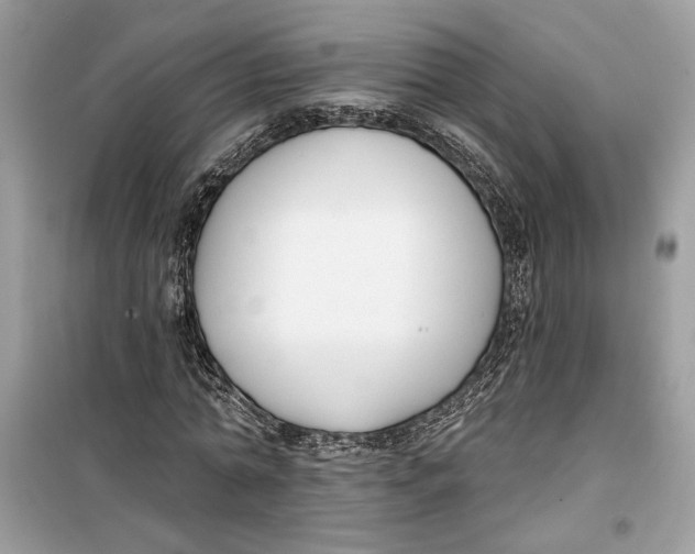 X0000099300774200805231341