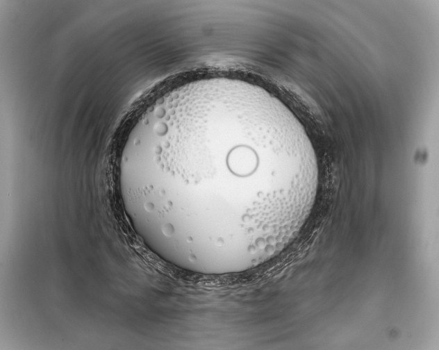 X0000099300776200805231341