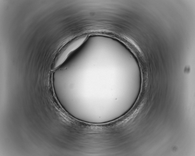 X0000099300777200805231341