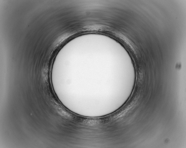 X0000099300778200805231341