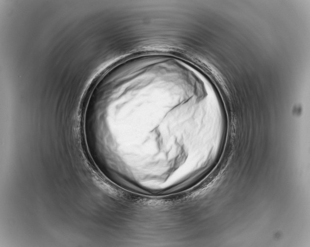 X0000099300779200805231341