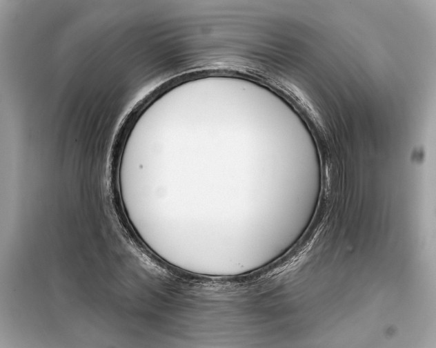 X0000099300780200805231341