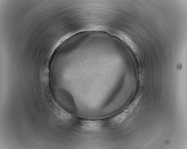 X0000099300781200805231341