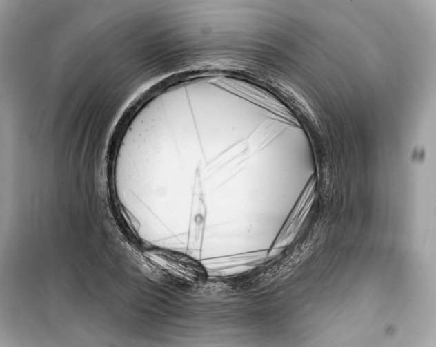 X0000099300784200805231341