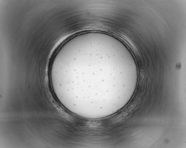 X0000099300788200805231341