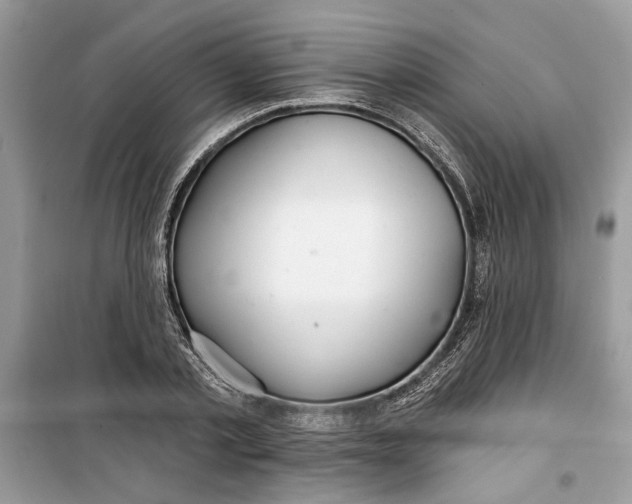 X0000099300789200805231341