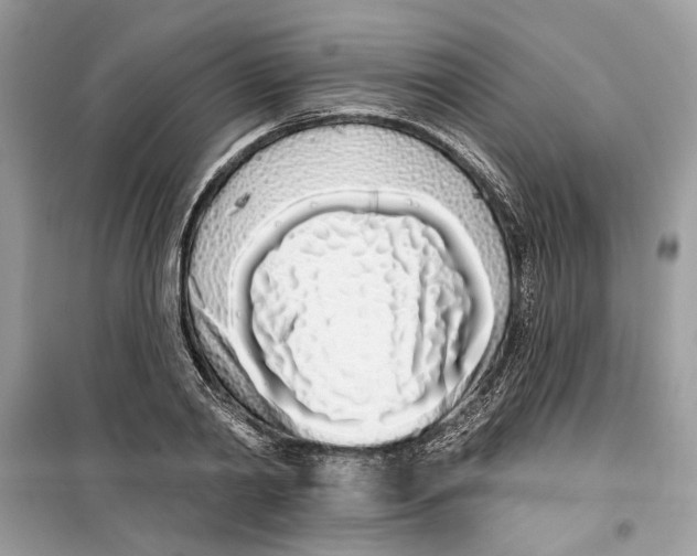 X0000099300790200805231340