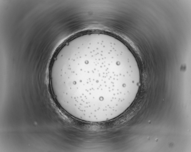 X0000099300791200805231340