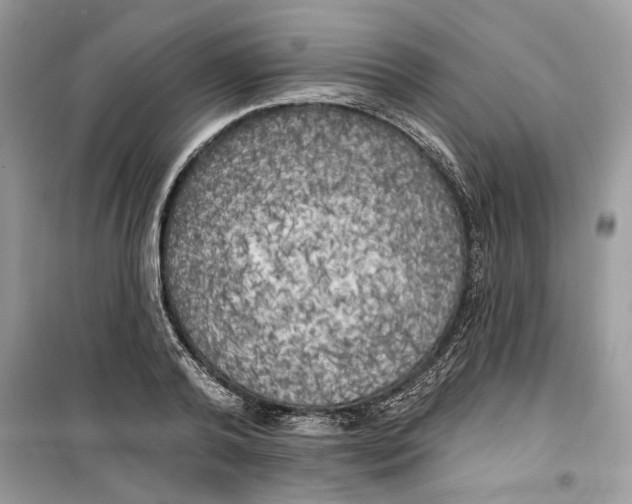 X0000099300792200805231340