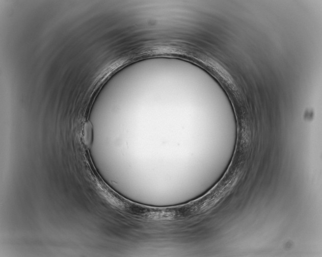 X0000099300793200805231340