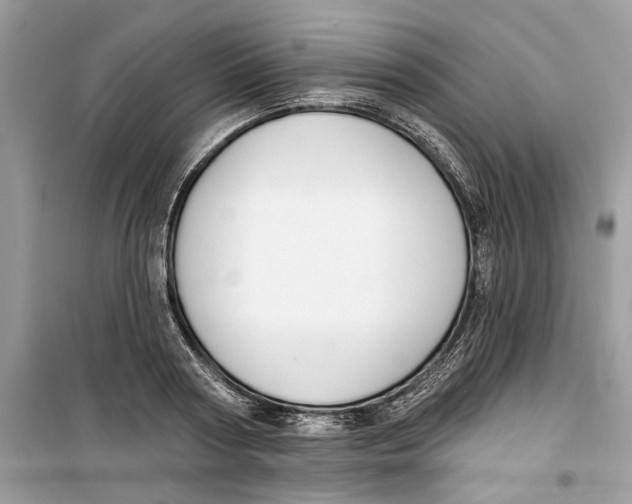 X0000099300794200805231340