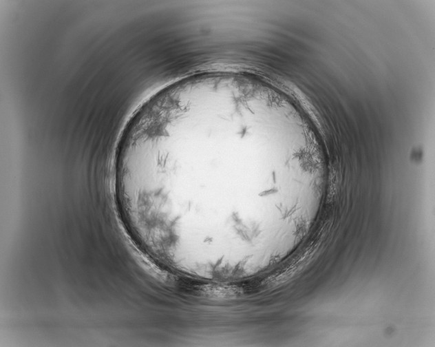 X0000099300795200805231340