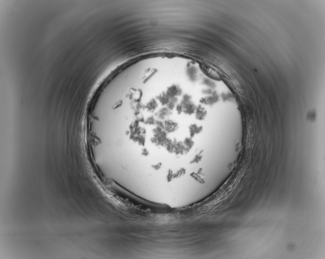 X0000099300796200805231340